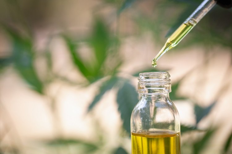 Struggling From Migraine Pain: Buy Cannabidiol oil